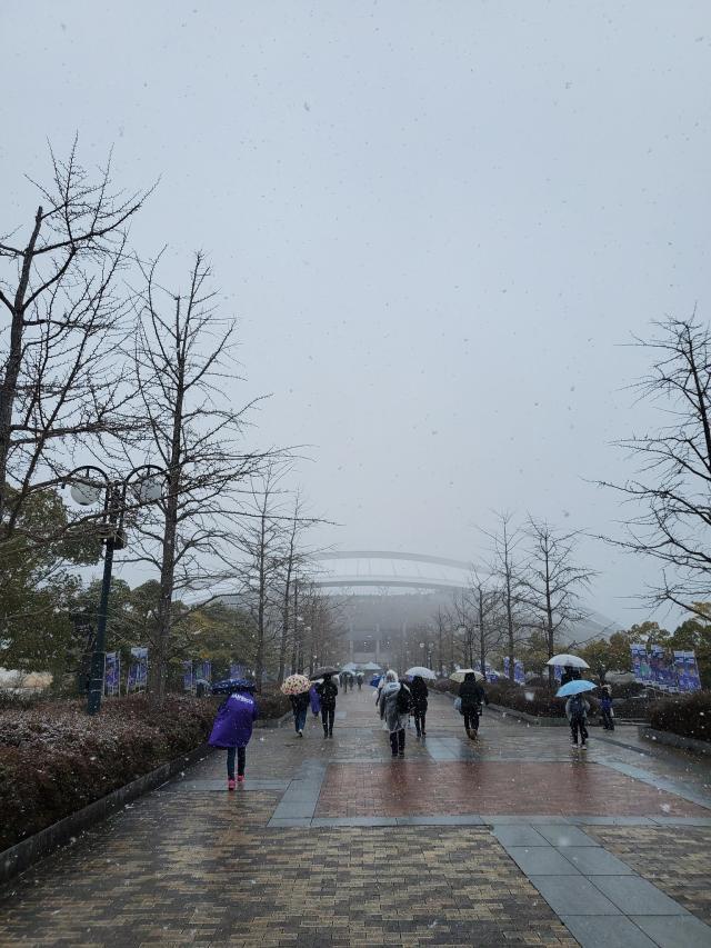 88.jpg